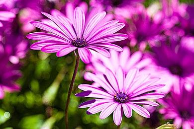 无需配置 手机能玩？低配玩《永劫无间》就靠这神器了！