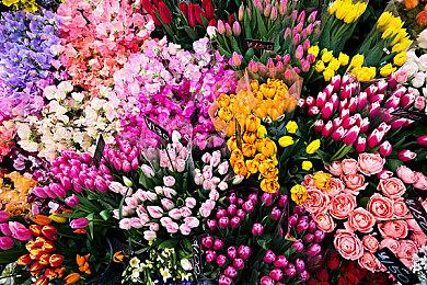 科幻恐怖《虚空裂隙：雷达恐怖生存游戏》现已发售