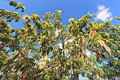 充满创意的平台游戏《史莱姆糯米》Steam页面上线 Q2发售