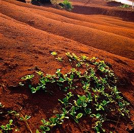 《消逝的光芒2》新开发者视频 武器设计的变化